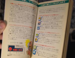 Guide Super Mario Bros. (07)